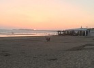 Conil-Playa de la Fontanilla