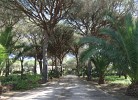 Casa Beatriz