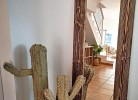 Casa Bamba