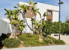 Casa Claudia Conil