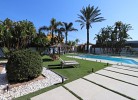 Casa Pyracantha
