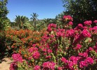 Hacienda Vejer