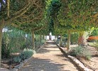 Hacienda Vejer