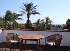 Casa Pyracantha