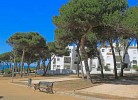 Ap El Cariño del Mar