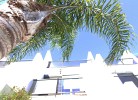 Casa Cocotero
