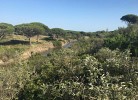 Casa Tio Pa