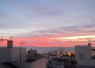 Casita Flor