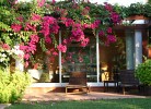 Casa Fiona B