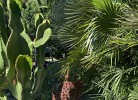 Casa Oasis
