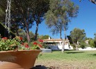 Casa La Oliva